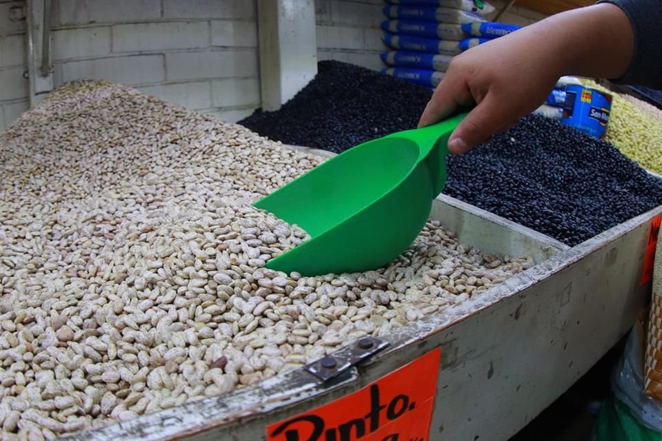 La Presidenta Sheinbaum emitió este viernes un decreto para crear la Productora de Semillas para el Bienestar (Prosebien).