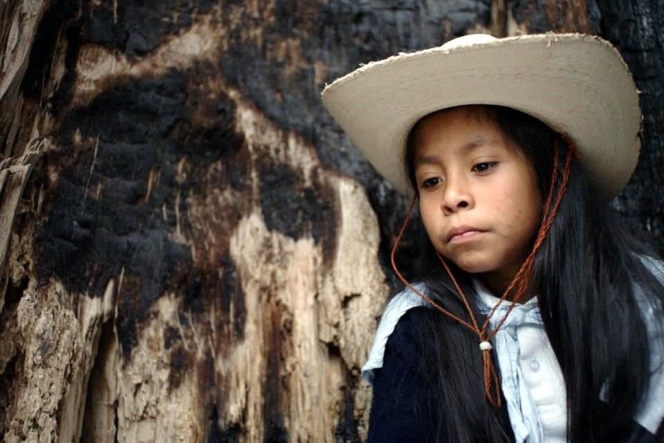 'Valentina o la Serenidad' llega como una propuesta dulce y emotiva sobre el proceso de duelo visto a través de los ojos de una niña.