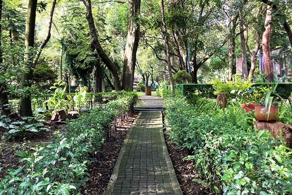 'El objetivo principal de la rehabilitación del Parque Ecológico Loreto y Peña Pobre es garantizar un manejo más eficiente del agua y aumentar la biodiversidad', indicó la Sedema.