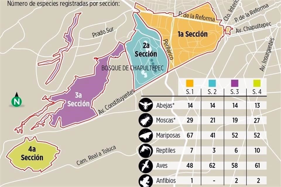 UNA POBLACIÓN DIVERSA. Decenas de especies convergen en las 866.37 hectáreas que compreden las cuatro secciones del Bosque de Chapultepec.