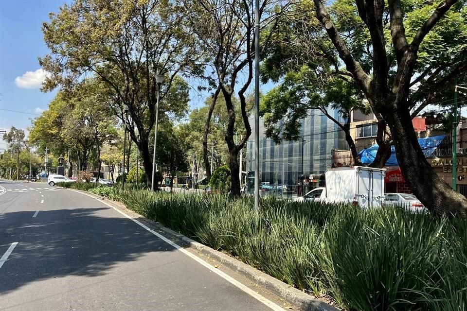 Al rehabilitar el sendero fueron remorzados camellones y le dieron mantenimiento a las áreas verdes.