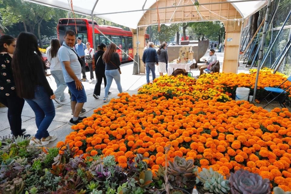 El Festival de las Flores y el Cempasúchil de la Alcaldía Xochimilco se lleva a cabo en Paseo de la Reforma. 