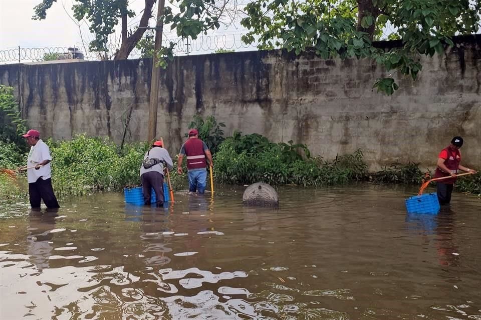 Los trabajos de desazolve y levantamiento de arboles caídos en Chetumal, Quintana Roo.