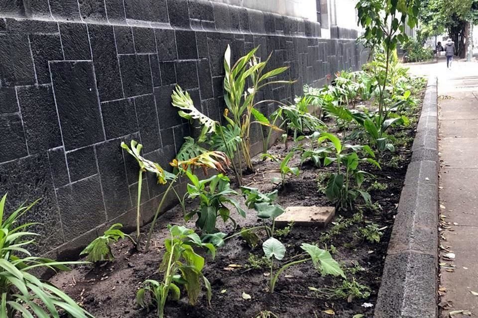 El jardín art decó que formaba parte del trazo del arquitecto Carlos Obregón Santacilia fue transformado en un jardín casual, denuncia el presidente del Icomos capítulo México.