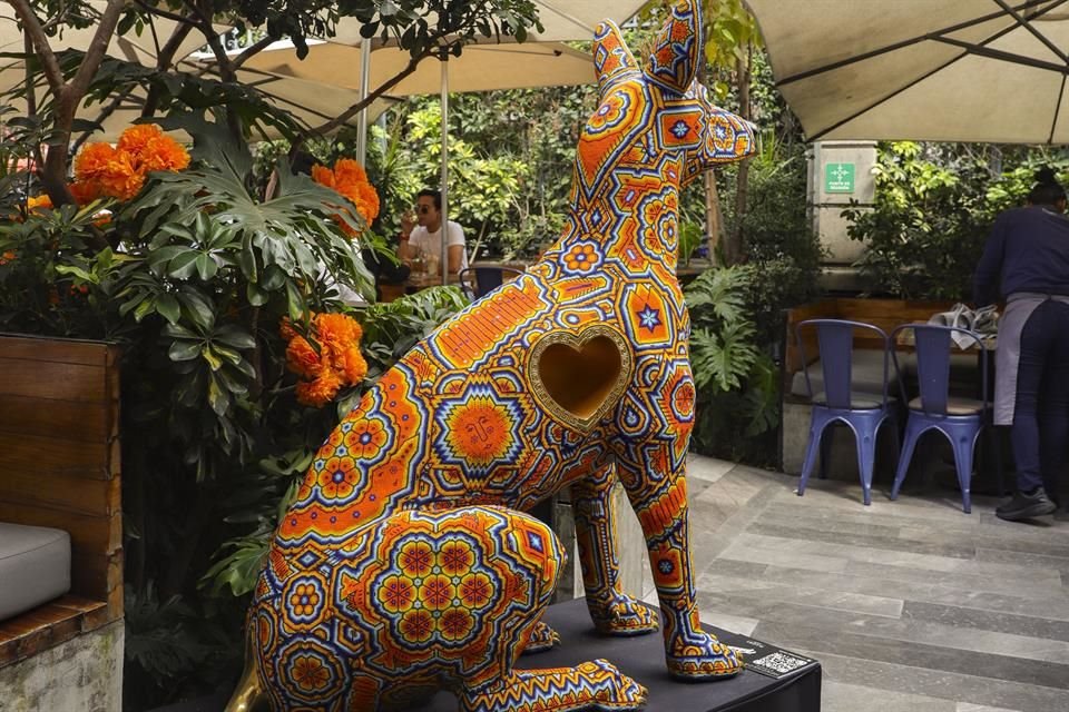 Los xoloitzcuintles también forman parte de la exposición.