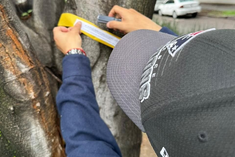 La organización La Voz de Polanco comenzó la iniciativa Trepa un Árbol para fomentar el apoyo al medio ambiente. 