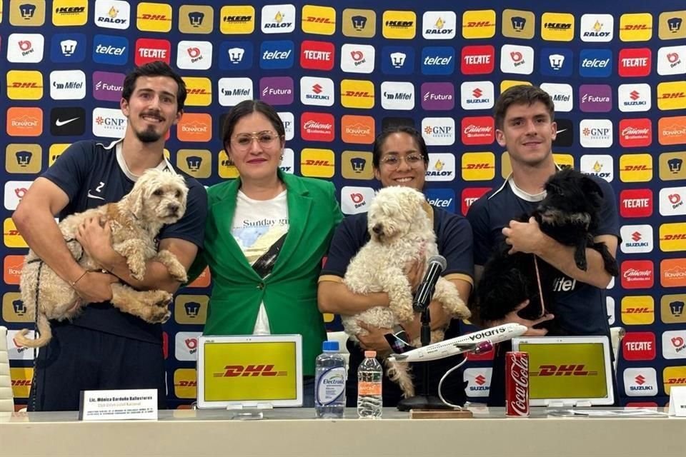 Lucía, Tomasa y Benito, tres perros que fueron rescatados de las inundaciones de Xochimilco, estuvieron de visita en suelo universitario.