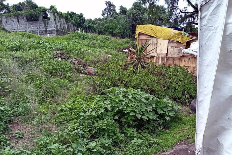 En el área existe flora y fauna endémica, por lo que se trata una zona protegida.