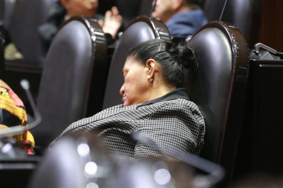 La diputada morenista Herminia López Santiago se quedó dormida en su curul.