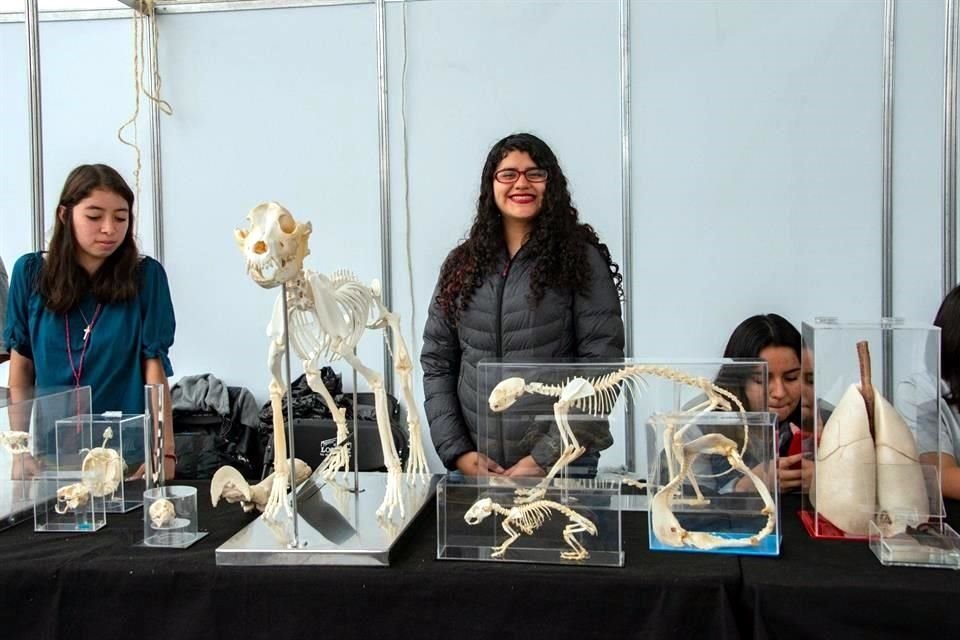 La 12 Fiesta de las Ciencias y las Humanidades tendrá actividades este 15 y 16 de noviembre en Universum y otras sedes.