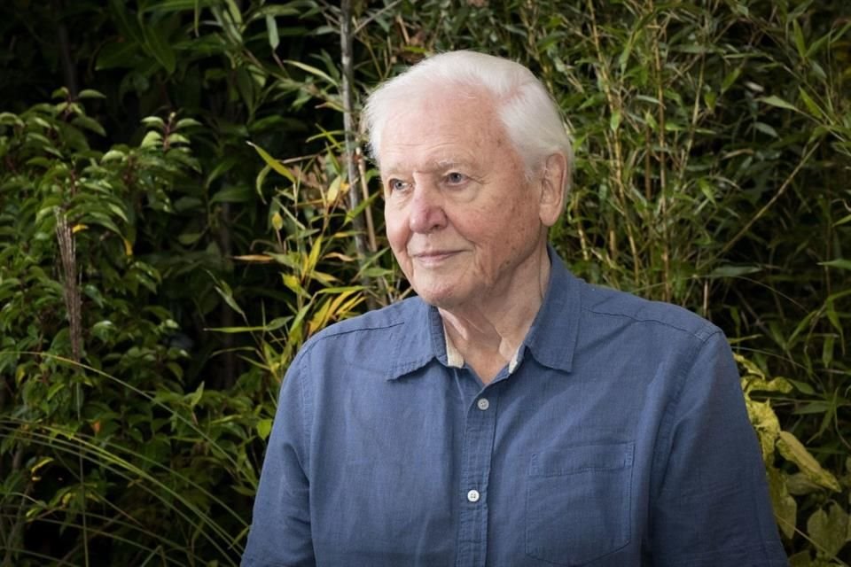 Tras escuchar una imitación de su voz hecha con Inteligencia Artificial, el presentador David Attenborough se dijo 'perturbado' por el resultado.