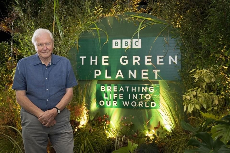 Durante un segmento reciente en BBC News, el canal reprodujo una versión generada por IA de la voz del británico y la transmitió junto a una grabación real de Attenborough diciendo lo mismo.