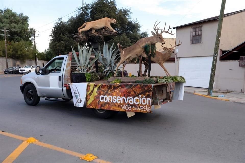 El inusual desfile de vehículos con plataforma y camionetas con cajas mostraban animales disecados de los que abundan en la región, principalmente el venado cola blanca.