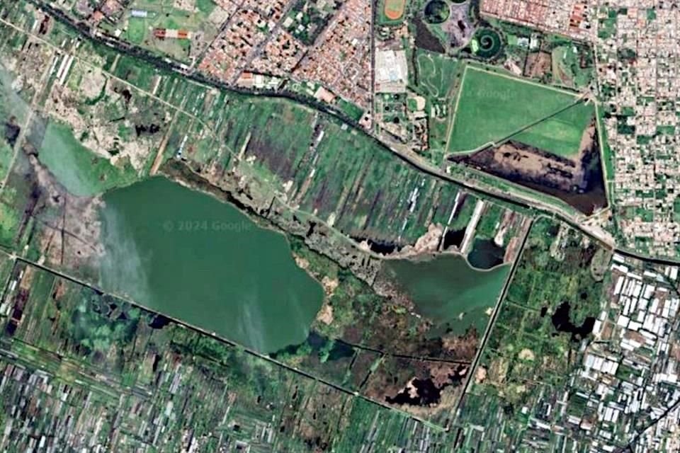 Ejidos de Xochimilco y San Gregorio Atlapulco fue declarada como Área Natural Protegida en mayo de 1992. A su alrededor, la mancha urbana avanza.