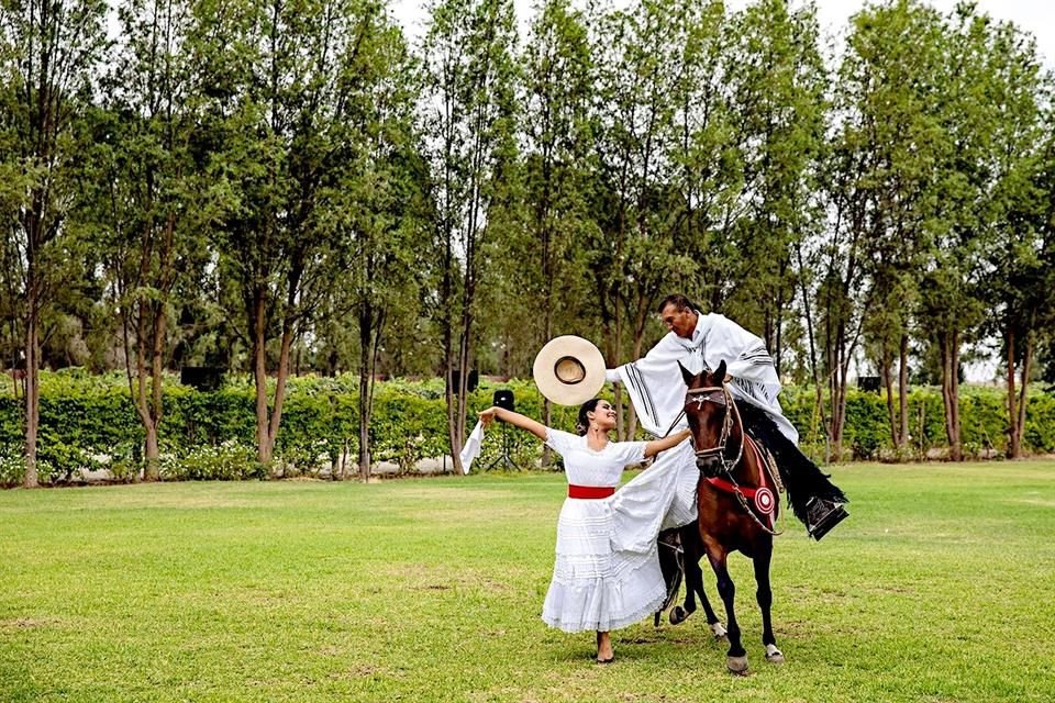 Caballo de paso peruano.