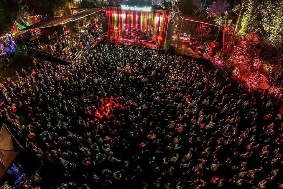 Black Coffee, Deerjade, Carlita, Mitagami y más se presentarán en el Festival Bravo.