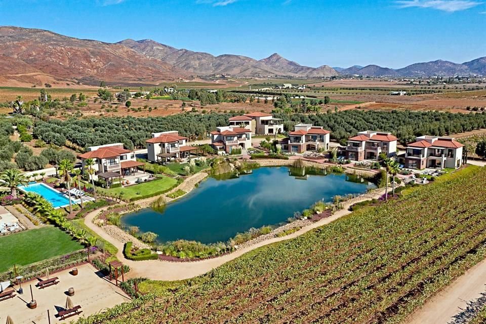 El Valle de Guadalupe, ubicado en el corazón de Ensenada, Baja California, brilla por su enorme oferta vitivinícola y gastronómica.