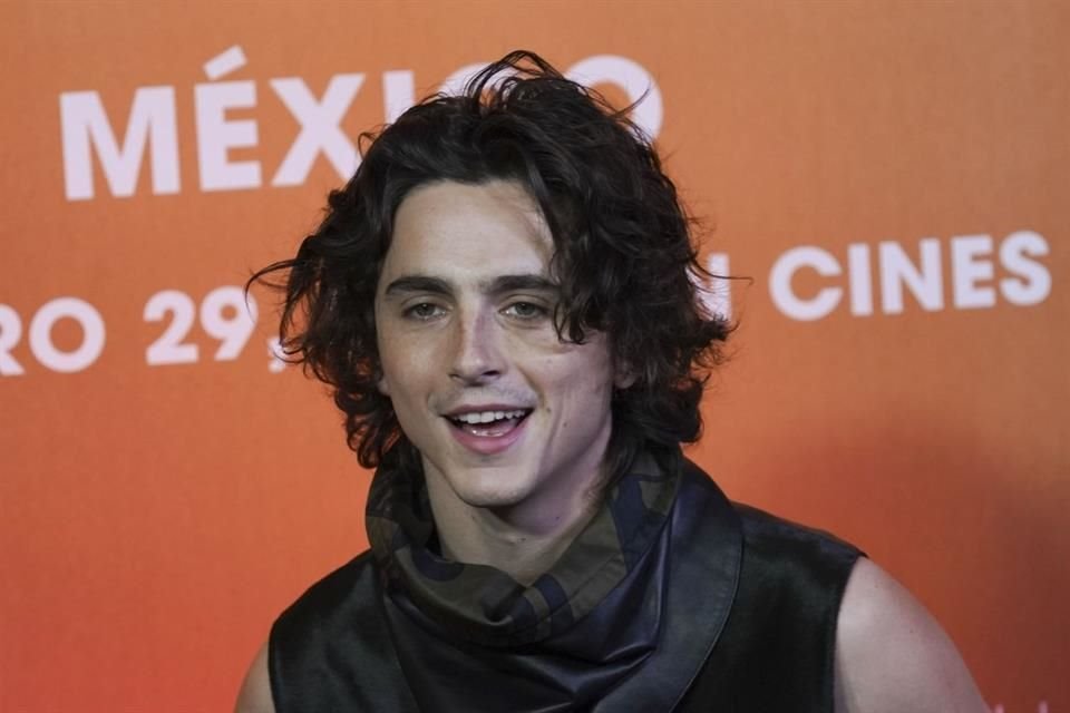 Timothée Chalamet será galardonado por su papel en la biopic de Bob Dylan, en los Premios Internacionales de Cine de Palm Springs.