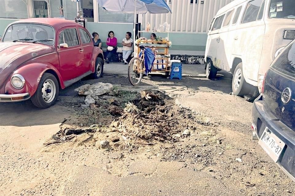 Alrededor del pirul del Hospital Pediátrico  el suelo alrededor del ejemplar estaba compactado por privilegiar un estacionamiento.