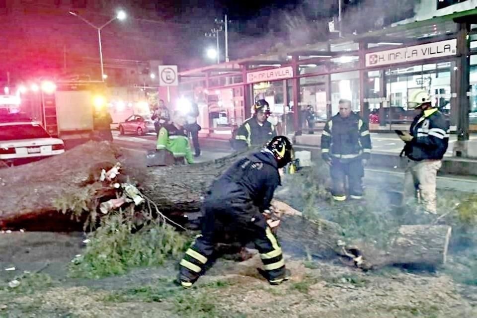 Ayer un pirul de 17 metros cayó sobre un hombre que esperaba informes sobre su hija internada.