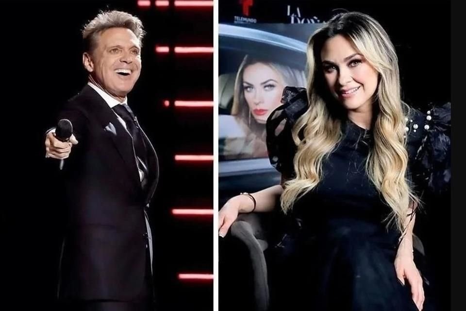 El hijo de Luis Miguel y Aracely Arámbula debutará como cantante en 2025 con un lanzamiento mundial en Europa, según Antonio Pérez Garibay.