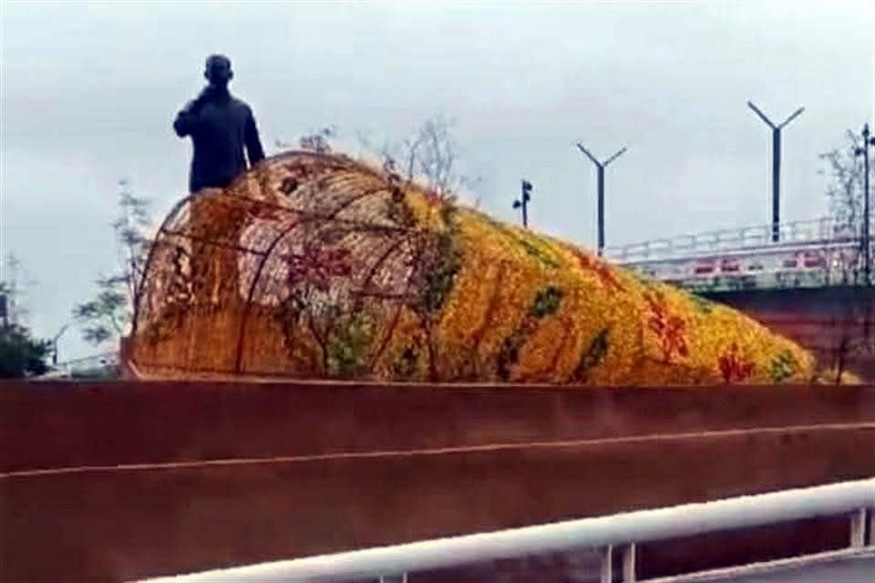 Usuarios en redes sociales reportaron el desplome de un árbol navideño de más de siete metros de altura en el malecón Carlos A. Madrazo en esa ciudad capital, cerca del monumento del mismo nombre.