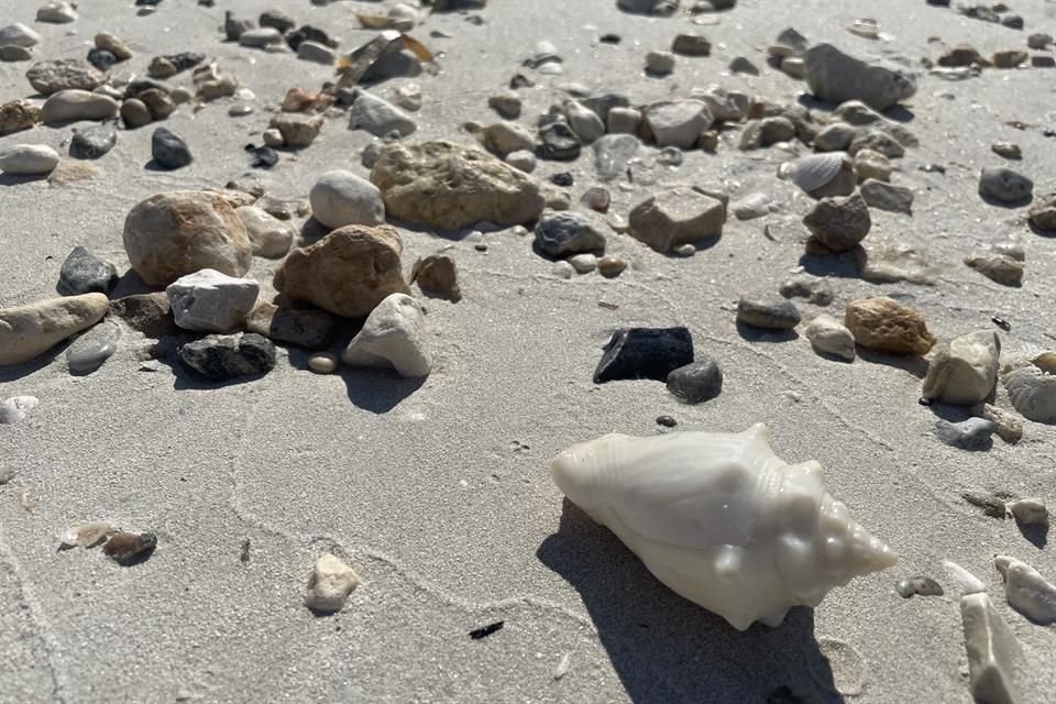 De arena blanca y suave oleaje, Playa Bonita está a tan solo 15 km del centro de Campeche. Hay restaurantes que ofrecen platos con el sabor típico de la región, como el Pulpo Maya.