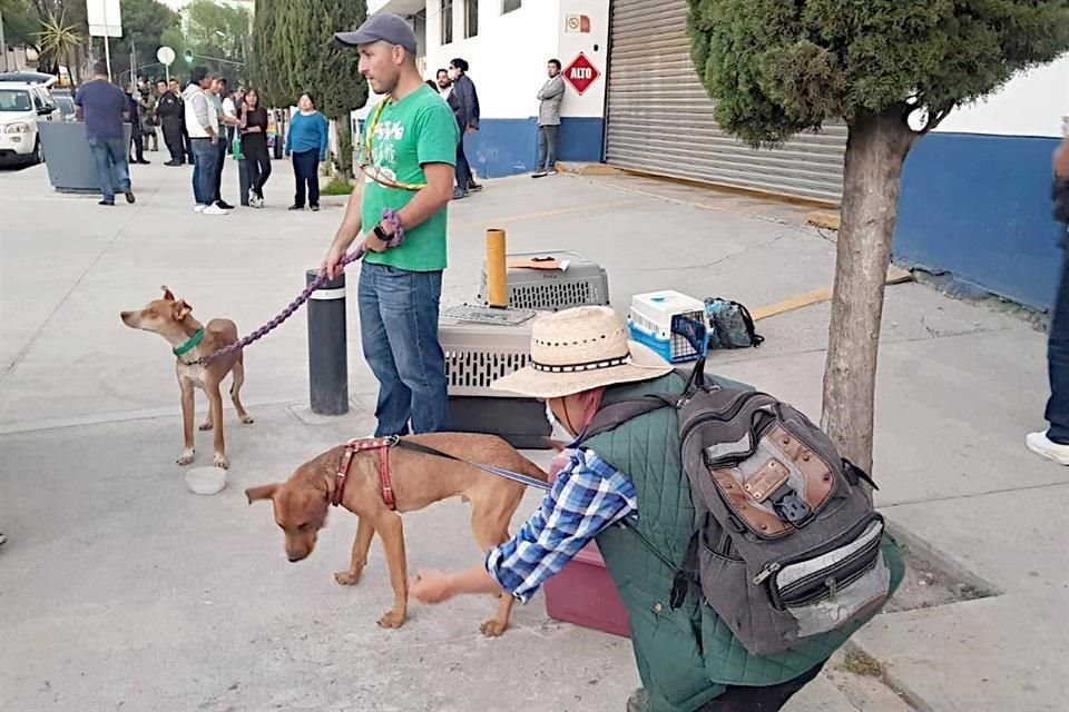 Tan pronto fueron devueltos por la Fiscalía, los canes fueron llevados a casas de familias adoptantes.