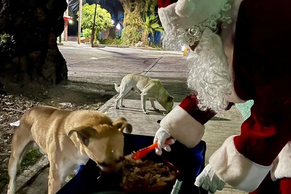 Yadira cada año se viste de Santa Clos y sale a dar alimento a perros en situación de calle; este año repartió 30 pollos rostizados en Ecatepec. 