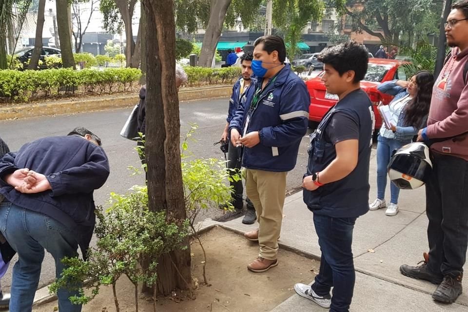 Experto de la PAOT explicó que, desde abajo, el tronco parece sano, pero arriba las ramas ya se han secado por el muérdago.