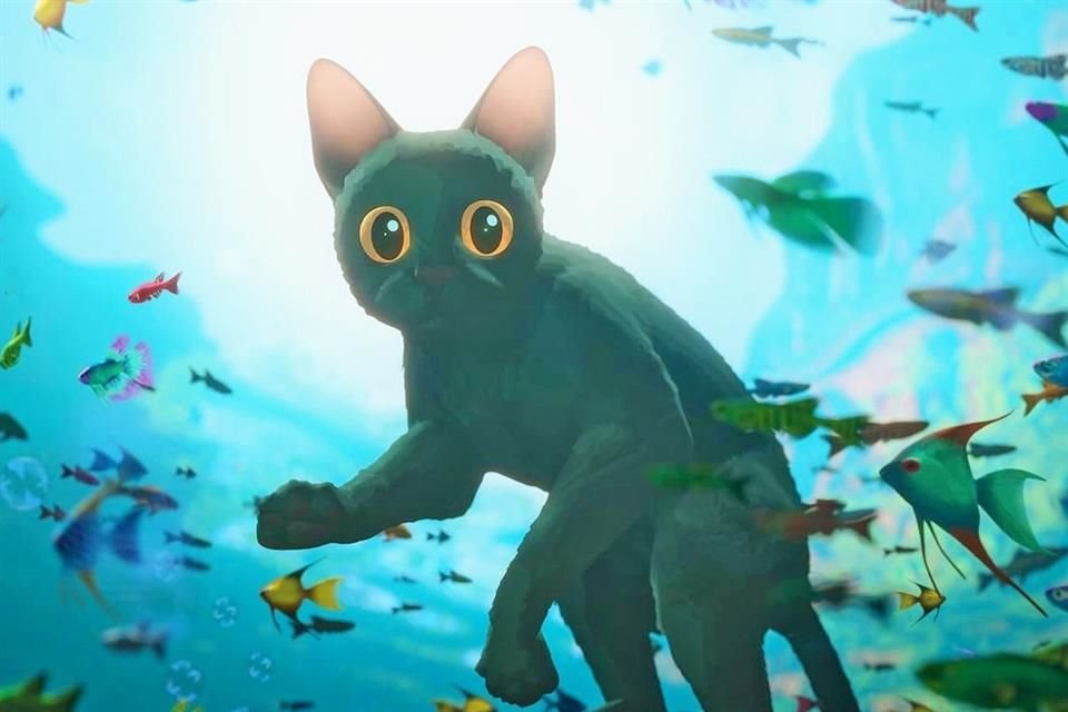 La cinta animada independiente 'Flow' trae a los cines de México a un felino, capaz de retar a grandes estudios de animación.