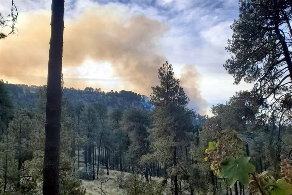 El incendio se registra en el paraje Milpulco, en las faldas del Iztaccíhuatl.