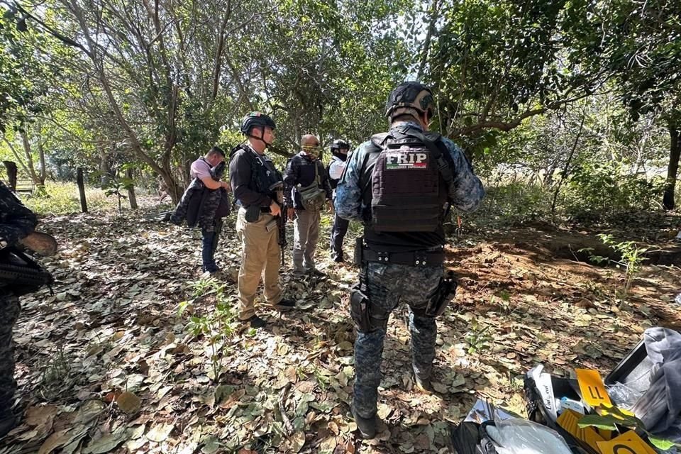 Setidaknya 15 mayat ditemukan di kuburan rahasia di La Concordia, Chiapas, setelah operasi di wilayah Frailesca milik entitas tersebut.