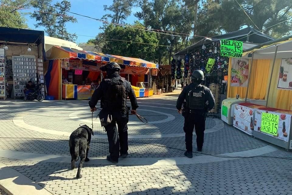 Coordinación entre federación y estado impulsa resultados positivos en materia de seguridad pública; homicidios dolosos disminuyeron.