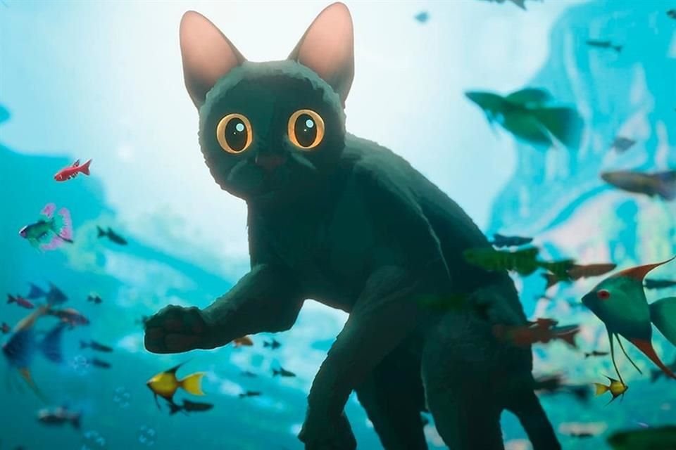 Nada como iniciar el año con una película inspiradora, como la animada 'Flow', ya en cines.