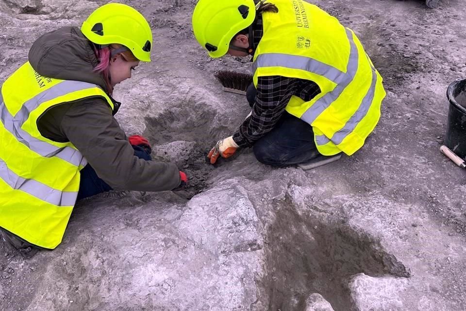 Unas 100 personas participaron en las excavaciones de las huellas de dinosaurios, supervisadas por las universidades de Oxford y Birmingham, en un lugar que era una antigua laguna.