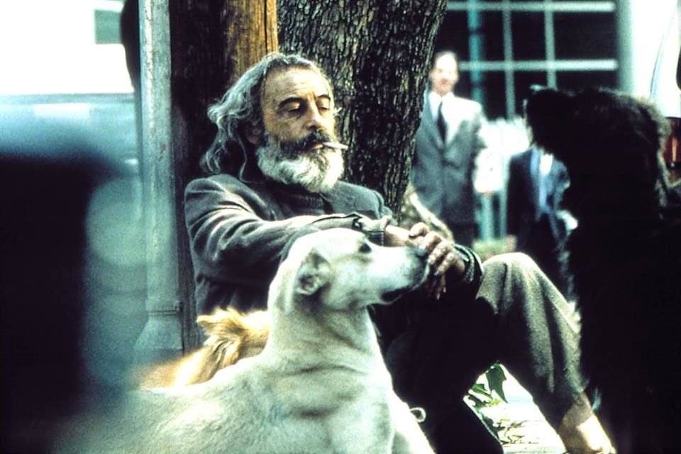 Fue hasta el año 2000 cuando su fama explotó gracias a su papel de 'El Chivo' en el filme 'Amores Perros' de Alejandro González Iñárritu.