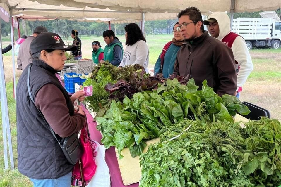 Los participantes podrán intercambiar artículos reciclables por alimentos y plantas.