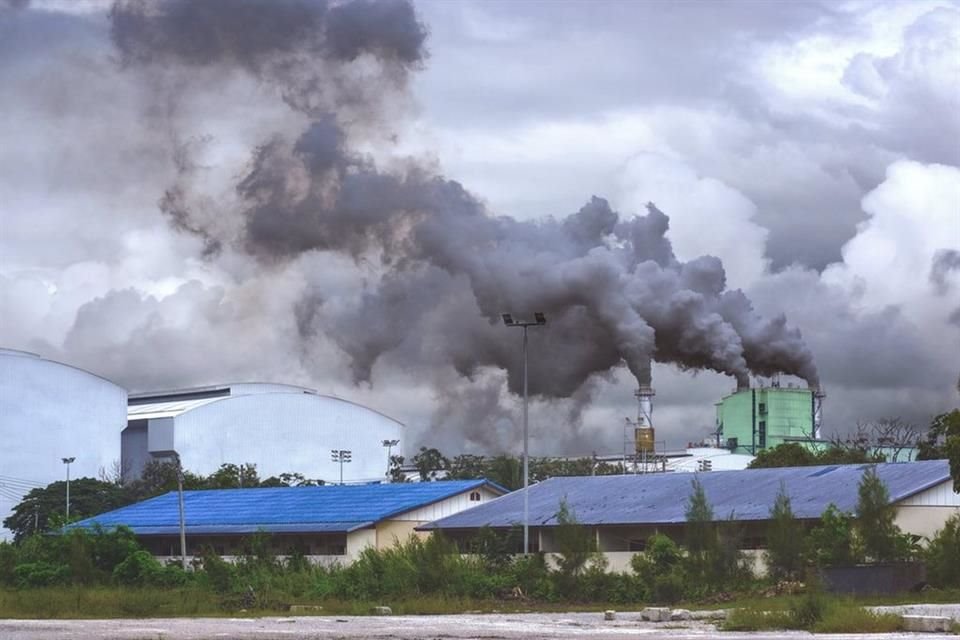 Entre las peticiones, los grupos ambientalistas dijeron que se requiere crear un grupo de supervisión para abordar las consecuencias imprevistas del T-MEC en el clima y el medio ambiente.