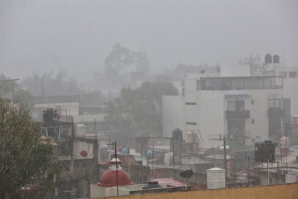 Tras la lluvia de esta tarde, se activó #alertaamarilla en 5 alcaldías, mientras que un árbol cayó en la Colonia Santa María Nonoalco, B. Juárez.