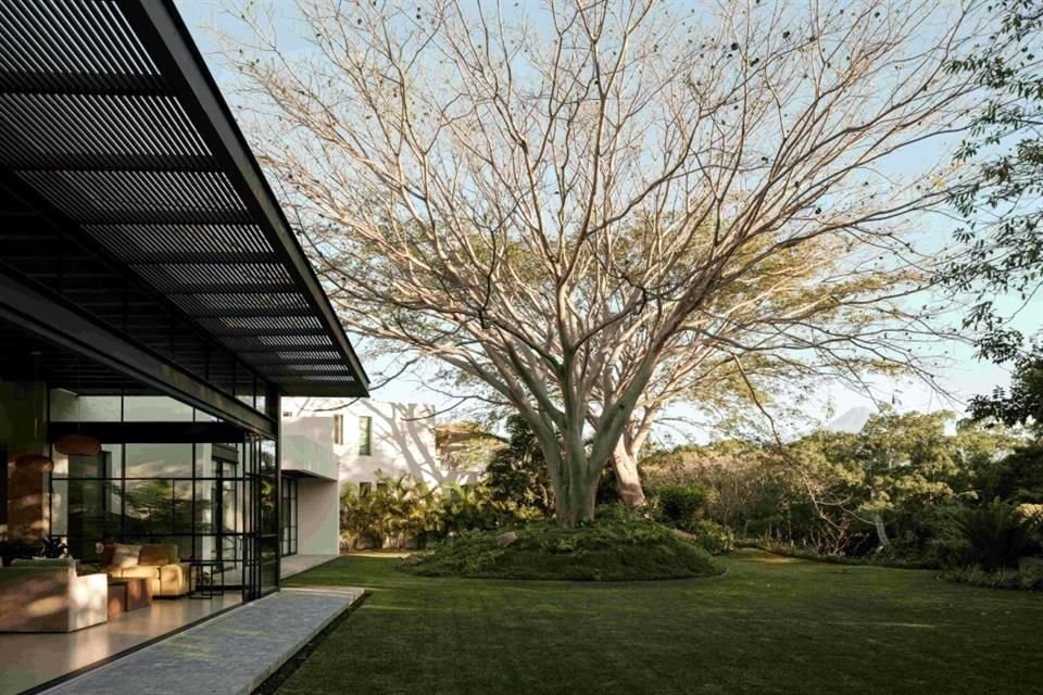 El árbol de Parota es un detalle existente en el lugar.