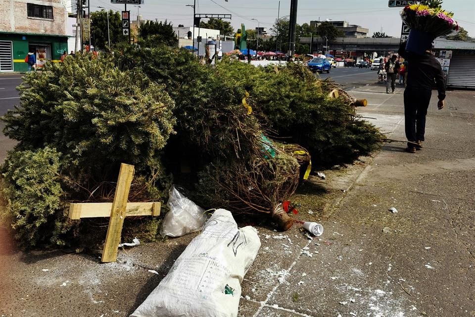 Vecinos de Magdalena Mixihuca optaron por dejar sus árboles en plena banqueta. 