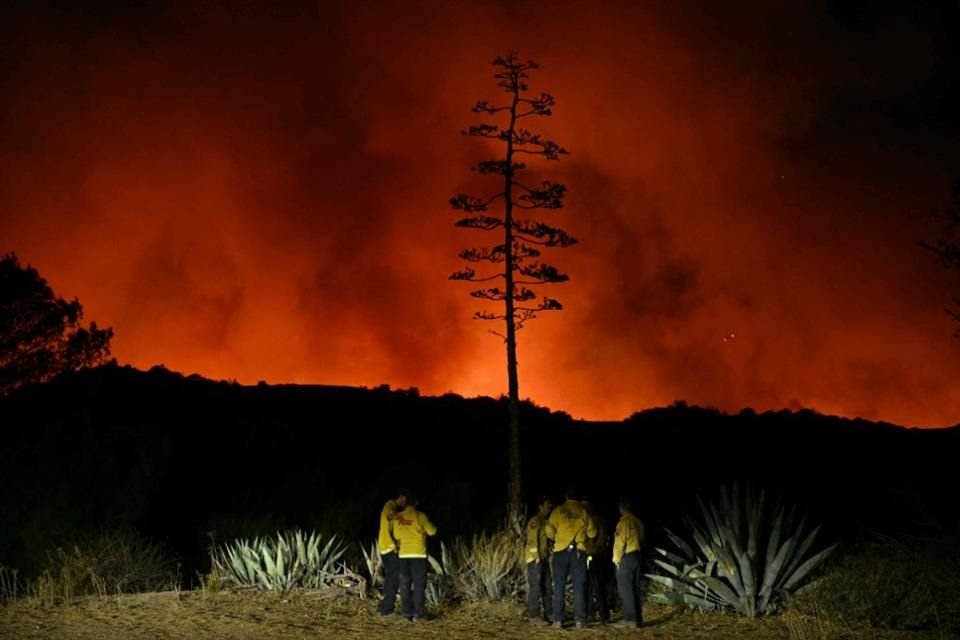 En las áreas de Pacific Palisades y Malibú, más de 20 mil acres de tierra han sido consumidos por las llamas.