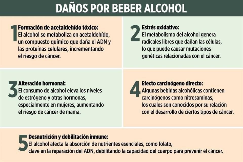 Especialistas explican los daños por el consumo de alcohol en exceso.