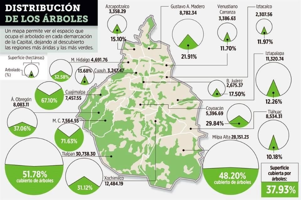 Un mapa permite ver el espacio que ocupa el arbolado en cada demarcación de la CDMX.