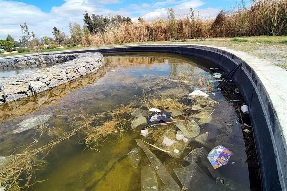 SIN MANTENIMIENTO. El que era un sistema de humedales dentro del parque acumula residuos de plástico y unicel.