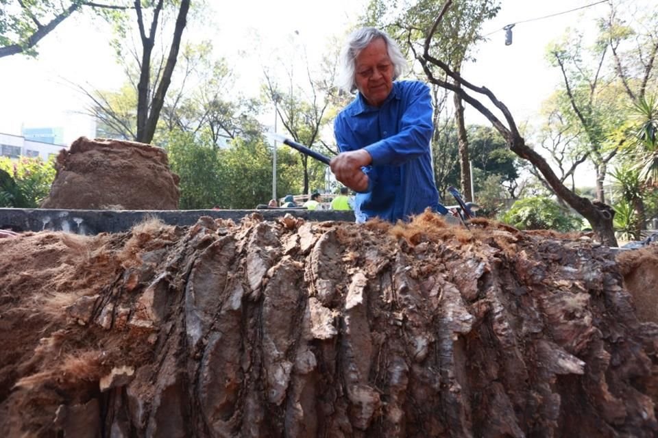 Las 30 piezas esculpidas por los artistas se ubican en el Jardín del Arte Sullivan.