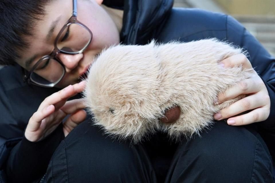 Desde que Zhang Yachun compró un BooBoo, una mascota inteligente que utiliza Inteligencia Artificial para interactuar con los humanos, dice que su vida es ahora más fácil.