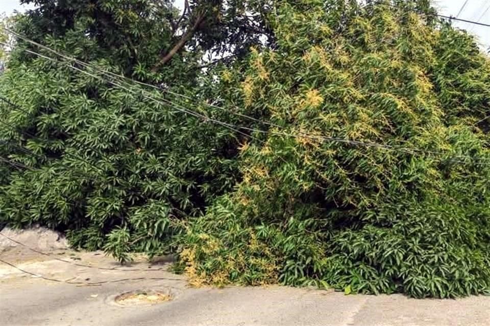 El viento en Veracruz podría llegar a los 120 kilómetros por hora, acompañado por olas de 3 a 7 metros de altura.