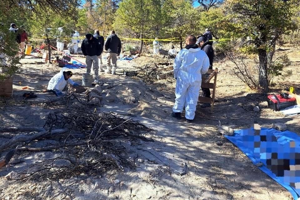 Los restos humanos fueron localizados en un sitio conocido como 'El Willi'.